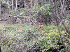 004106bvm3ioz6ls77x3em-广元唐家河嘉怡客栈