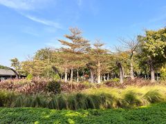 -映月湖公园