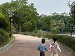 -东莞植物园