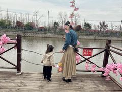 -上海长兴岛郊野公园