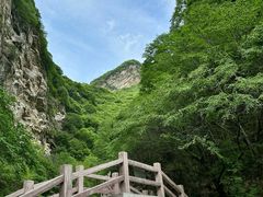 -少华山国家森林公园