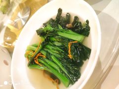 -海珠湖公园