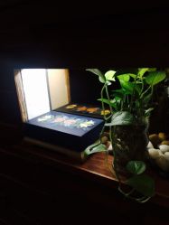 艾维庭美容SPA(上海广场店)-艾维庭美学SPA