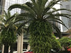 -珠海中海雅高铂尔曼酒店