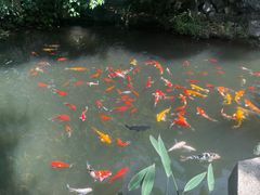 -绿茶餐厅(城西银泰城店)