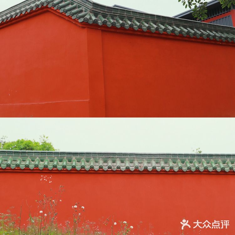 误入成都版森林公园🏠打卡童话小木屋!