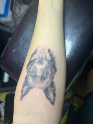 -MDZ STORE·TATTOO·耳饰