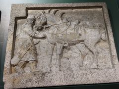 -西安碑林博物馆