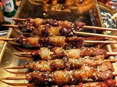 -杨小佳·齐齐哈尔烤肉·烤串(广州店)
