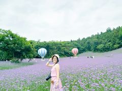 -大塘金香草谷