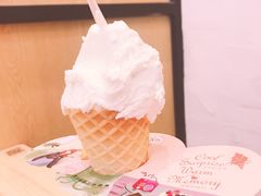 -野人先生现做冰淇淋(北京环宇荟店)
