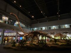 -自贡恐龙博物馆