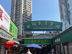 -曲阳花鸟市场(曲阳路店)