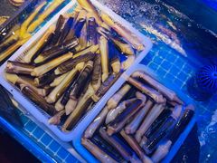 竹蛏王-捞围鲜·港式打边炉(海阳路店)