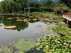 -国家植物园南园