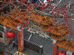 -广州市流溪河国家森林公园