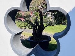 -扬州大运河文化旅游度假区·盆景园