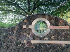 -王借岗森林公园