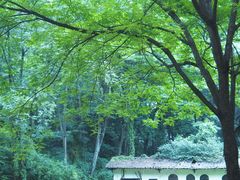 -凤栖山