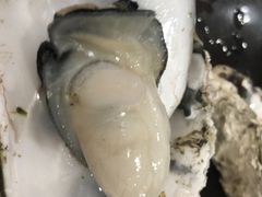 -蚝专家(北滘店)