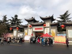 -龙口南山旅游景区