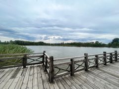 -野鸭湖国家湿地公园