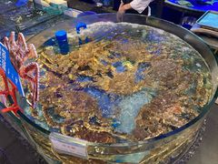 -榕港名轩(天禧店)