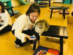 -萌喵宠狗爱心宠咖