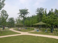 -上海长兴岛郊野公园