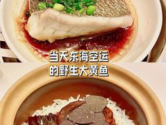葱油蒸野生黄鱼-福1015(愚园路店)