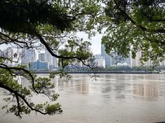 -江心屿景区