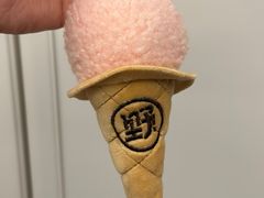 -野人先生现做冰淇淋(北京悠唐购物中心店)