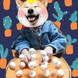 材料:一包棉花糖/软糖,一盒牙签