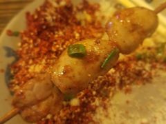 -晓靖轩烧烤(沙河风情店)