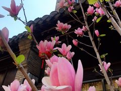 -回龙窝历史文化街区