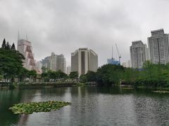 -荔枝公园(福田区)