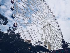 -弘阳·未来世界(弘阳广场店)