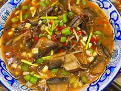 -盐与味葱葱鲫鱼•自贡菜江湖菜(春熙店)