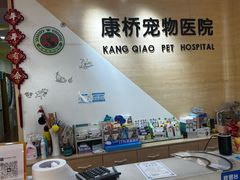-千城康桥宠物医院·猫科·骨科·心脏
