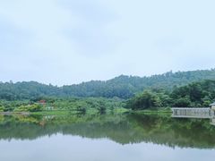 -番禺大夫山森林公园