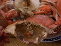 -樱の花亭日本料理店