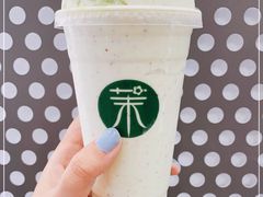 -茉酸奶(春熙路店)