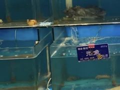 -粥全粥到海鲜家常菜·海肠捞饭(嫩江路店)