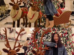 -Salon de Ville浦江汇(上海外滩华尔道夫酒店店)