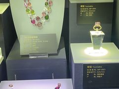 -湖南省地质博物馆