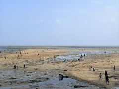 -北海金海湾红树林生态旅游区