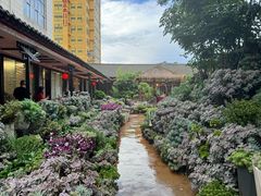 -山菌美食苑(振兴路店)
