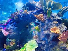 -成都浩海立方海洋公园