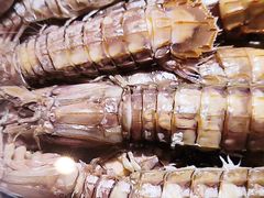 -赶海部落海鲜城(海阳路店)