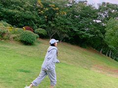 -羊山湖公园